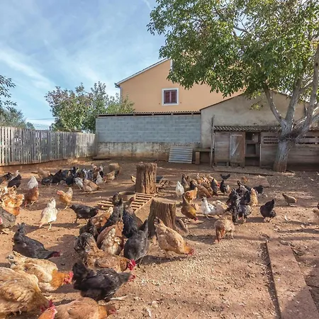 Valtursko Polje I Апартаменты Пула