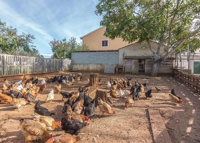 Valtursko Polje I Апартаменты Пула